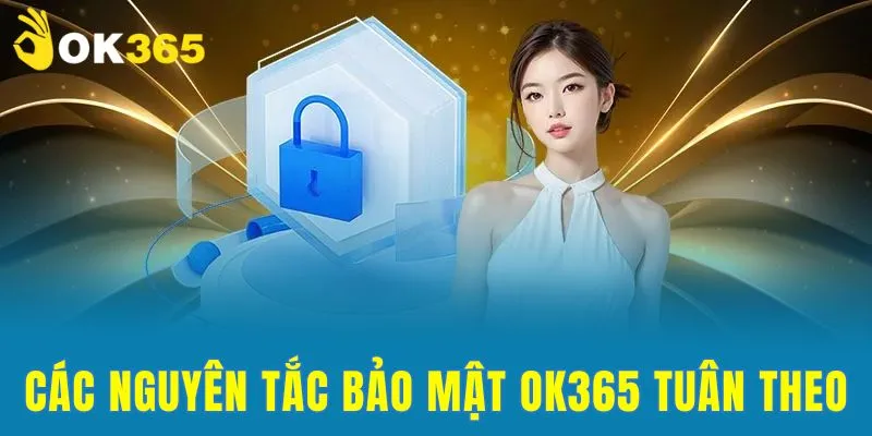 Nguyên tác của chính sách bảo mật OK365