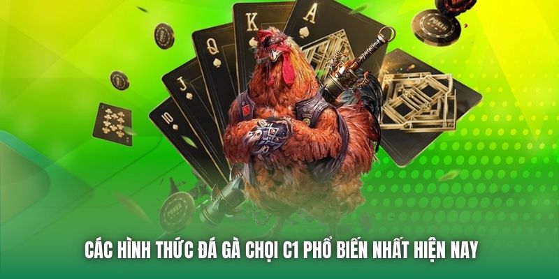 Các hình thức đá gà chọi C1 phổ biến nhất hiện nay