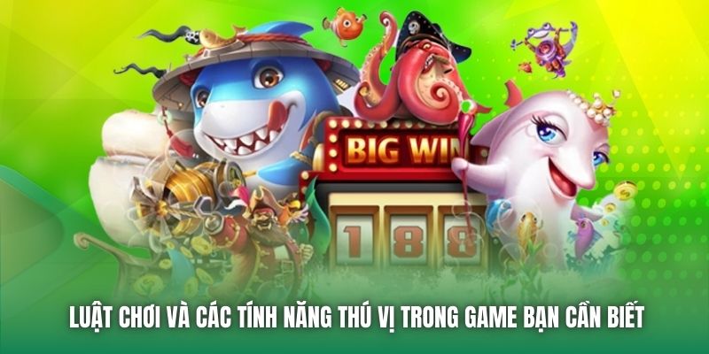 Luật chơi và các tính năng thú vị trong game bạn cần biết